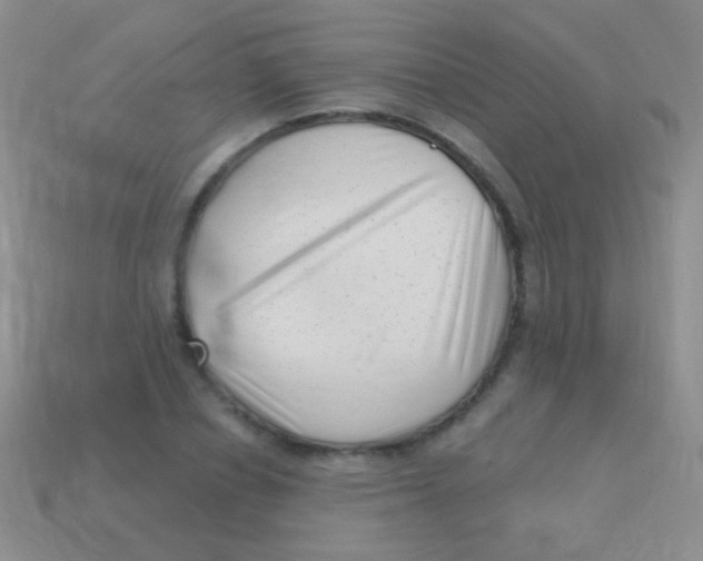 X0000113610834200910161927