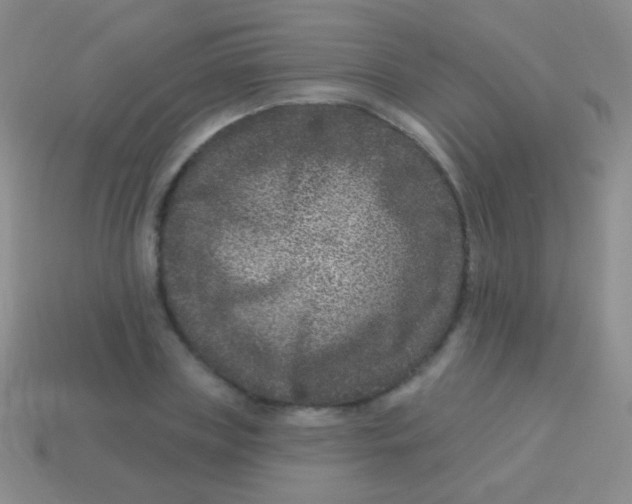 X0000113610835200910161927