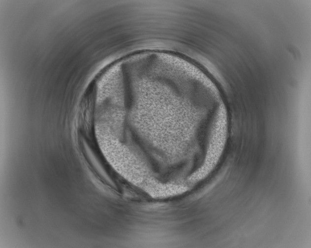 X0000113610837200910161927