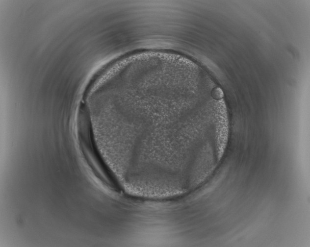 X0000113610840200910161927