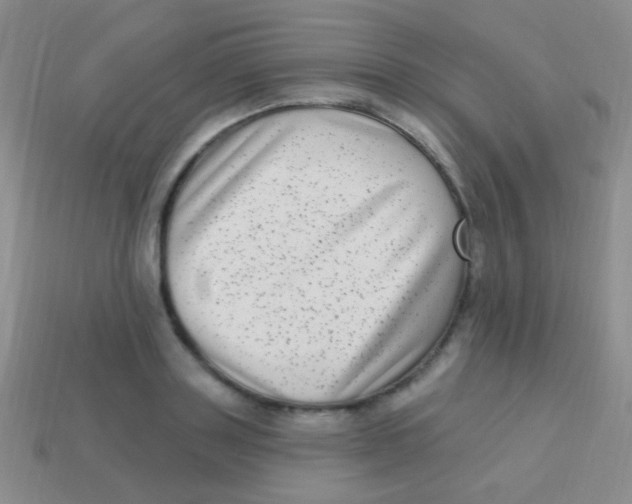 X0000113610843200910161927