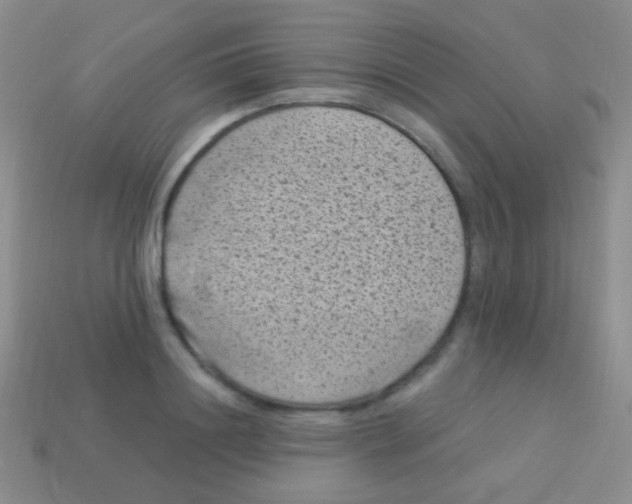 X0000113610844200910161927