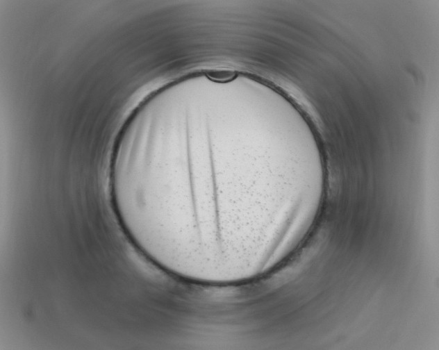 X0000113610845200910161927