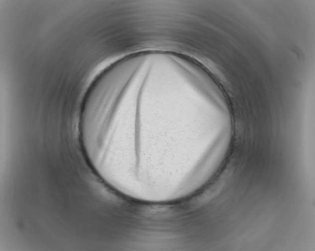 X0000113610846200910161927