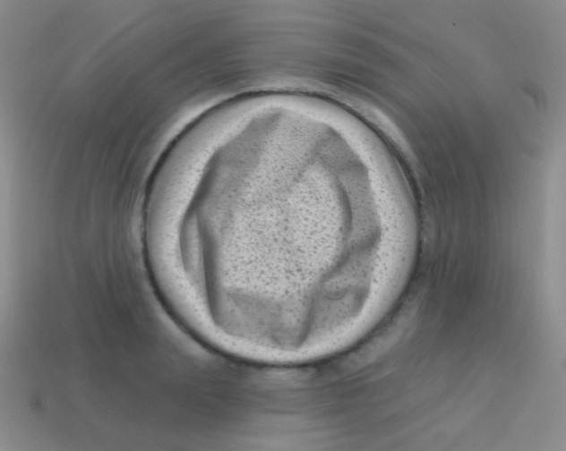 X0000113610847200910161928