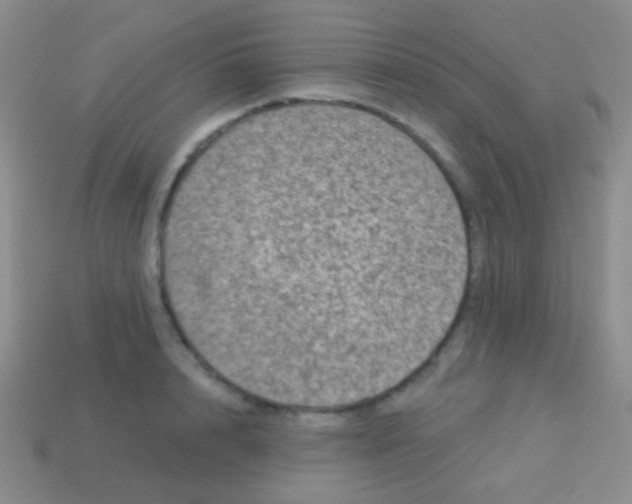 X0000113610848200910161928