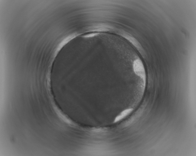 X0000113610850200910161928