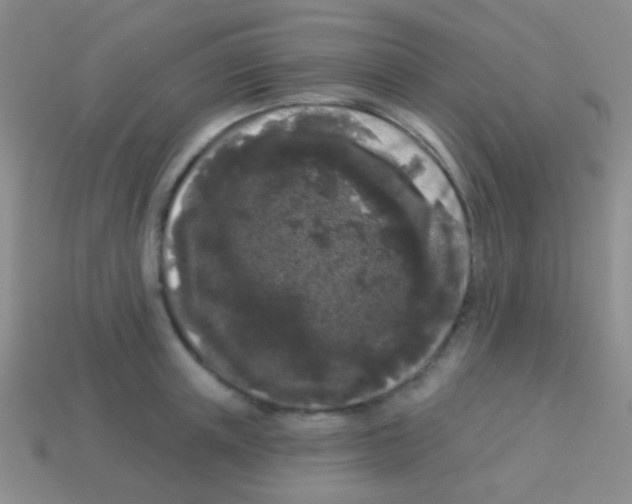 X0000113610851200910161928