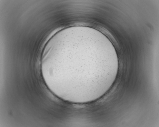 X0000113610852200910161928