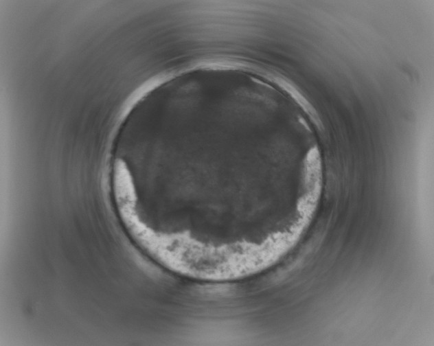 X0000113610853200910161928