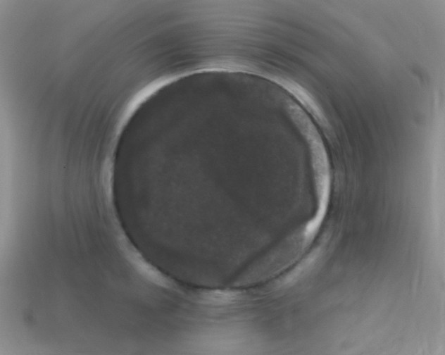 X0000113610854200910161928