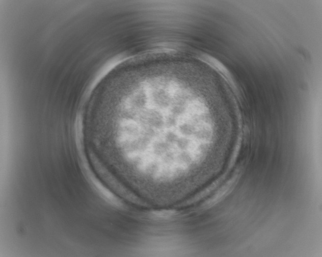 X0000113610859200910161928