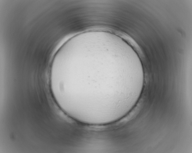 X0000113610860200910161928