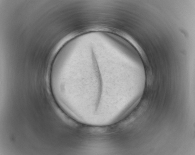 X0000113610861200910161928