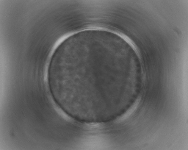 X0000113610862200910161928