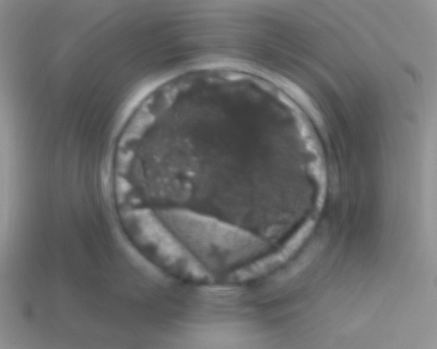 X0000113610863200910161928