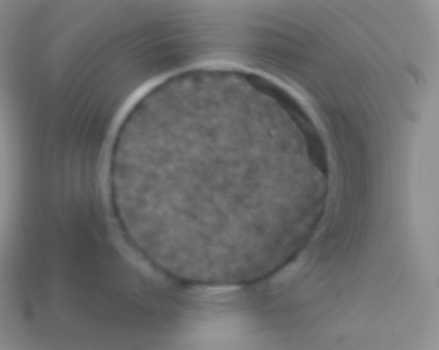 X0000113610864200910161928