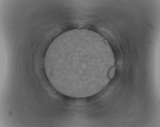 X0000113610865200910161927