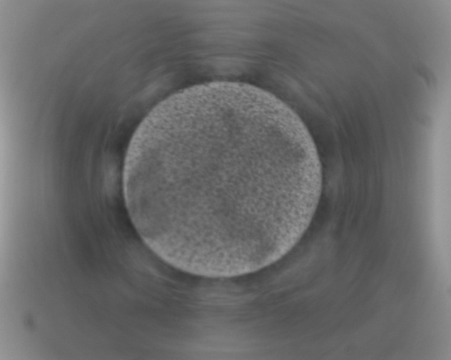 X0000113610866200910161927