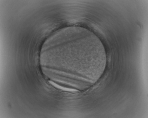 X0000113610868200910161927