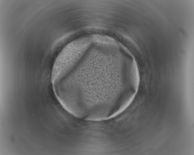 X0000113610870200910161927