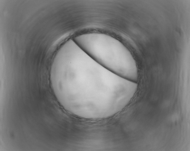 X0000113610872200910161927