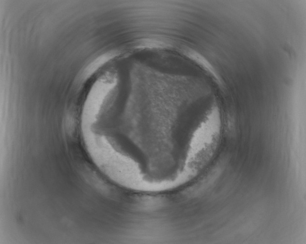 X0000113610874200910161927