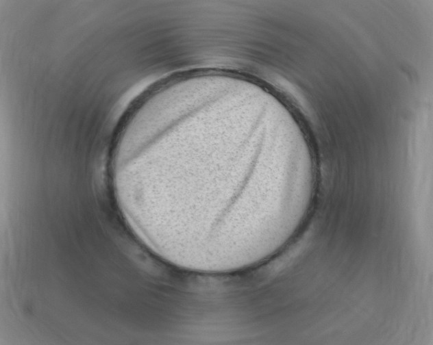 X0000113610875200910161927