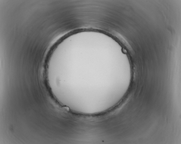 X0000113610876200910161927