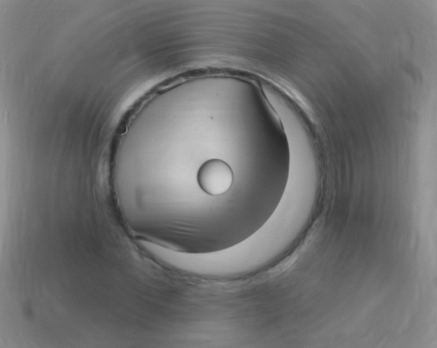 X0000113610877200910161927