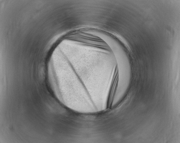 X0000113610878200910161927