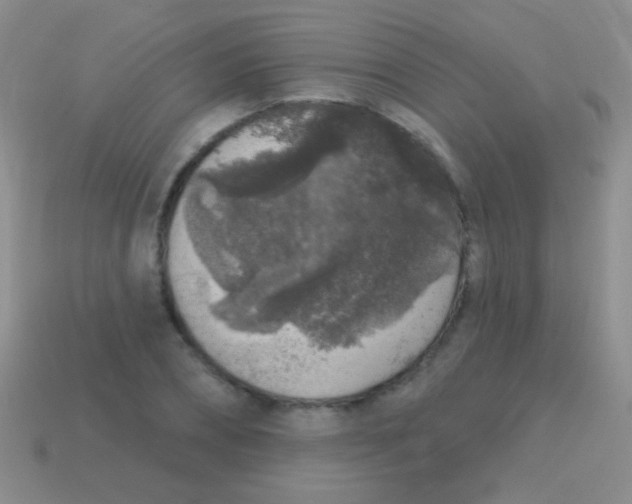 X0000113610882200910161927