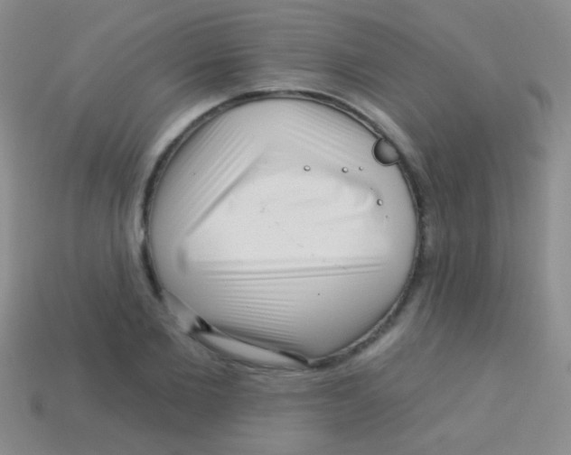 X0000113610885200910161927