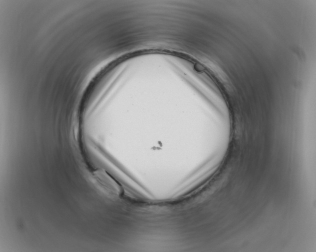 X0000113610888200910161927