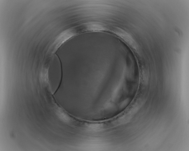 X0000113610889200910161927