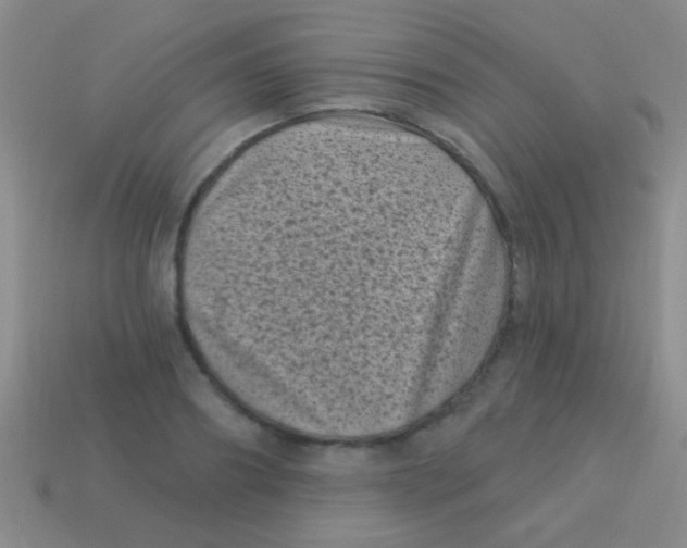 X0000113610890200910161927