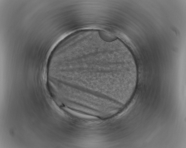 X0000113610892200910161927