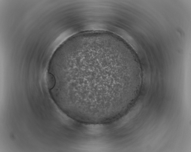 X0000113610893200910161927