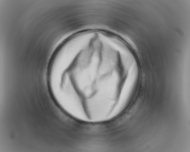 X0000113610895200910161927