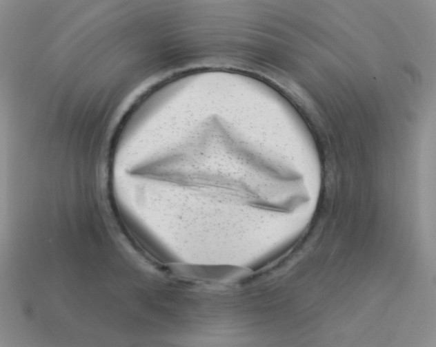 X0000113610896200910161927