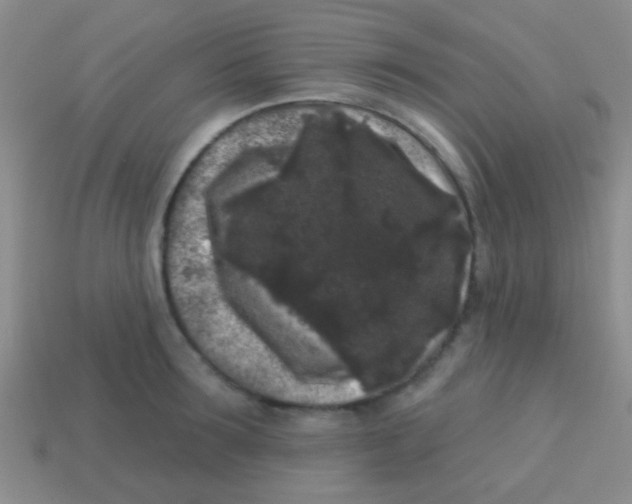 X0000113610899200910161927