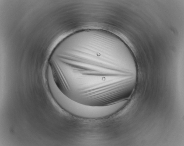 X0000113610901200910161927