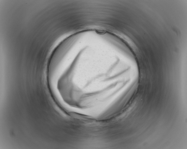 X0000113610902200910161927