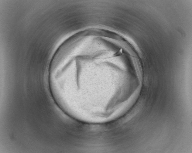 X0000113610903200910161927