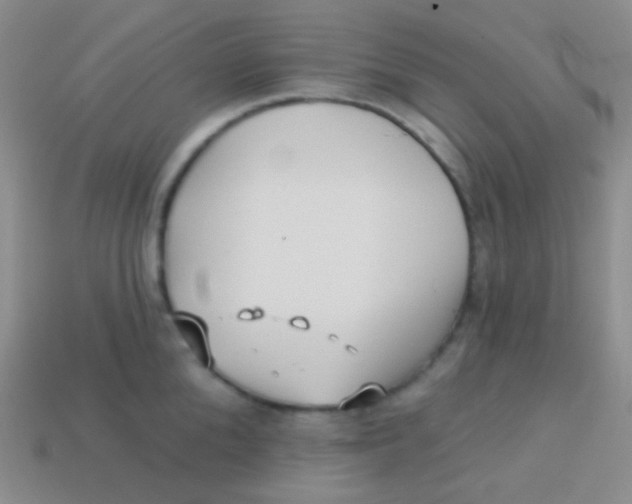 X0000113610904200910161927