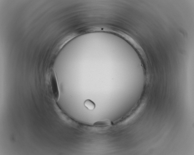 X0000113610905200910161927