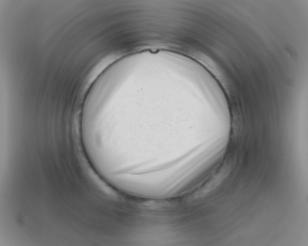 X0000113610906200910161927