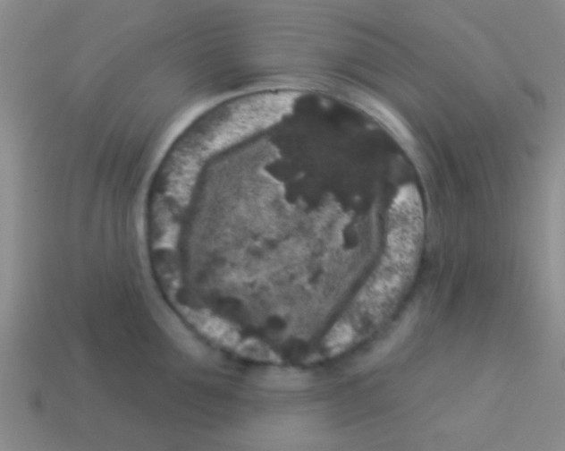 X0000113610907200910161926