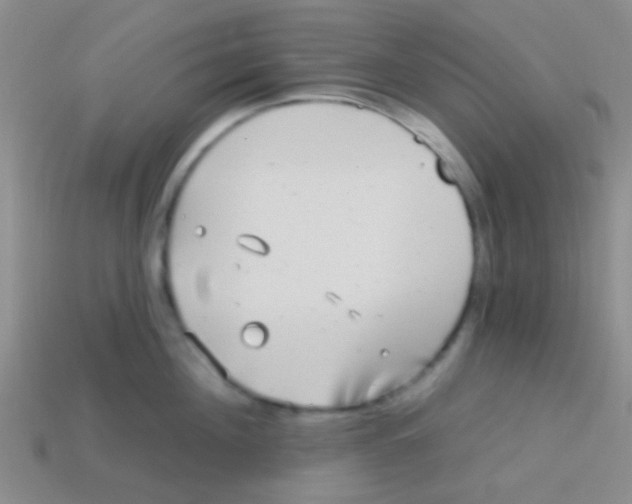 X0000113610908200910161926