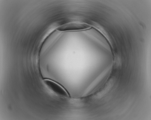 X0000113610909200910161926